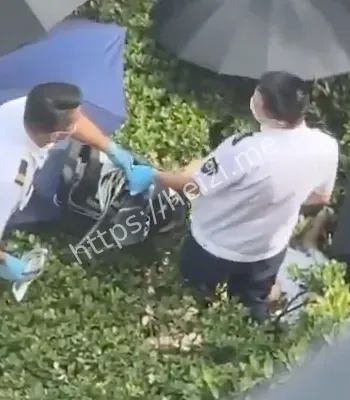 上海杉达学院坠楼事件内幕